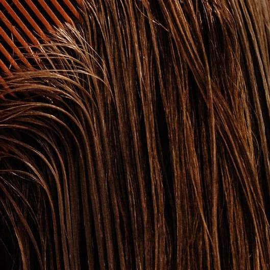 Scalp Refresh at Luxe Lengths by Tania in Sparks, NV